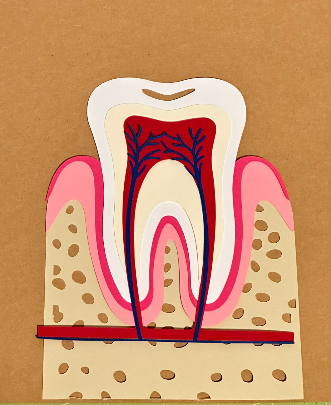 Cricut Tooth Digital SVG