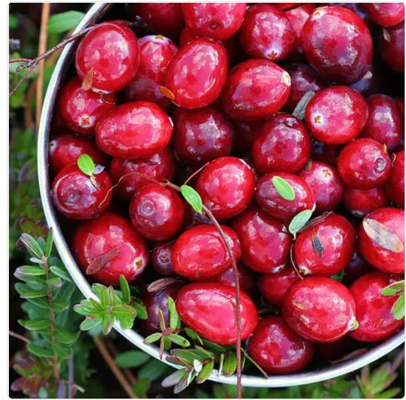 No. 6 "Last time I flossed... You did it. " Dental Candle®