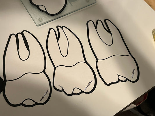 32 Teeth- Classroom or OP Display (DIGITAL DOWNLOAD)